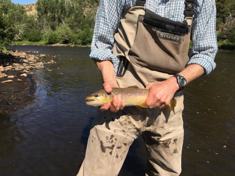 Big Laramie River Fishing Report July 2018 High Plains